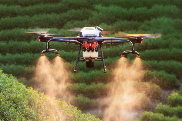 Análise do custo-benefício e ROI do uso de drones em lavouras de café