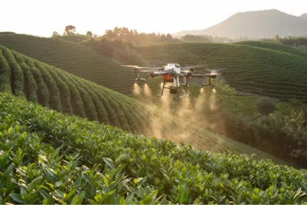 Foco em como o uso de drones pode melhorar a lucratividade, reduzir custos e o impacto econômico